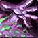 Warlock Warlock